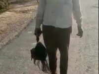 Father surrendering while carrying his 17-year-old daughter's head 9