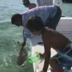 Guy loses a finger to baby shark 2