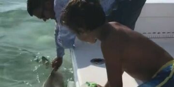 Guy loses a finger to baby shark 13