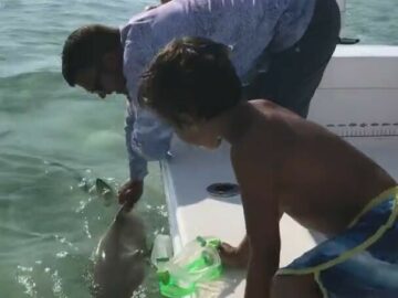 Guy loses a finger to baby shark 5