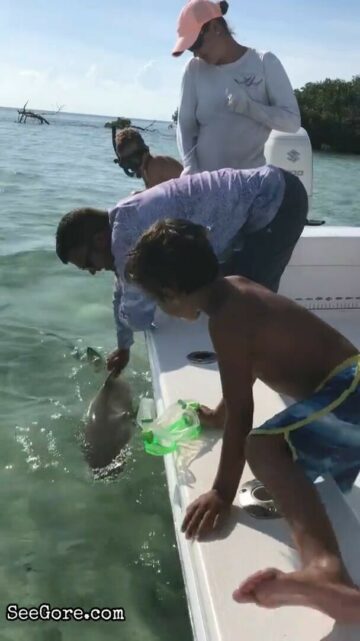 Guy loses a finger to baby shark 6