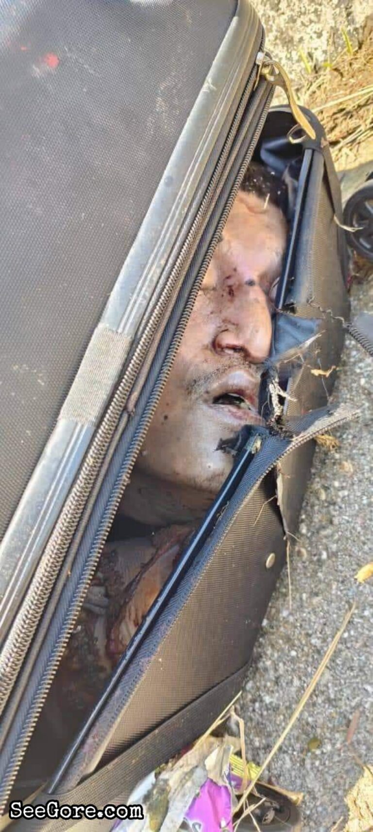 Dismembered body stuffed in a suitcase found along Malaysia's North-South Expressway 18