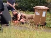 Man mauled by 2 dogs to death 6