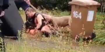 Man mauled by 2 dogs to death 15