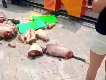 Mexican cartel dumps dismembered body parts at town square 3