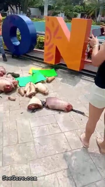 Mexican cartel dumps dismembered body parts at town square 4