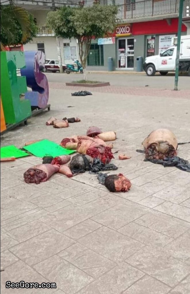 Mexican cartel dumps dismembered body parts at town square 4