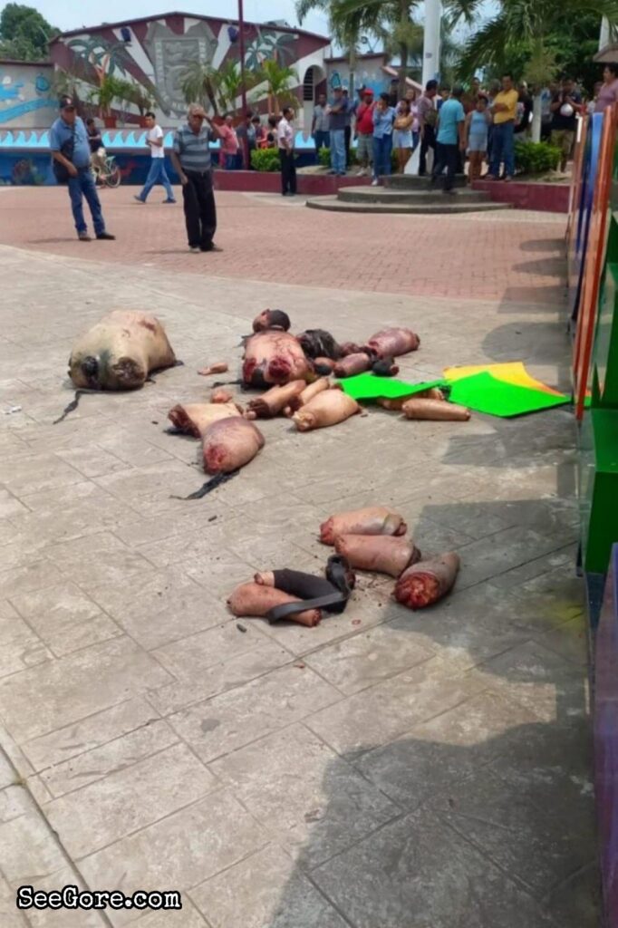 Mexican cartel dumps dismembered body parts at town square 5