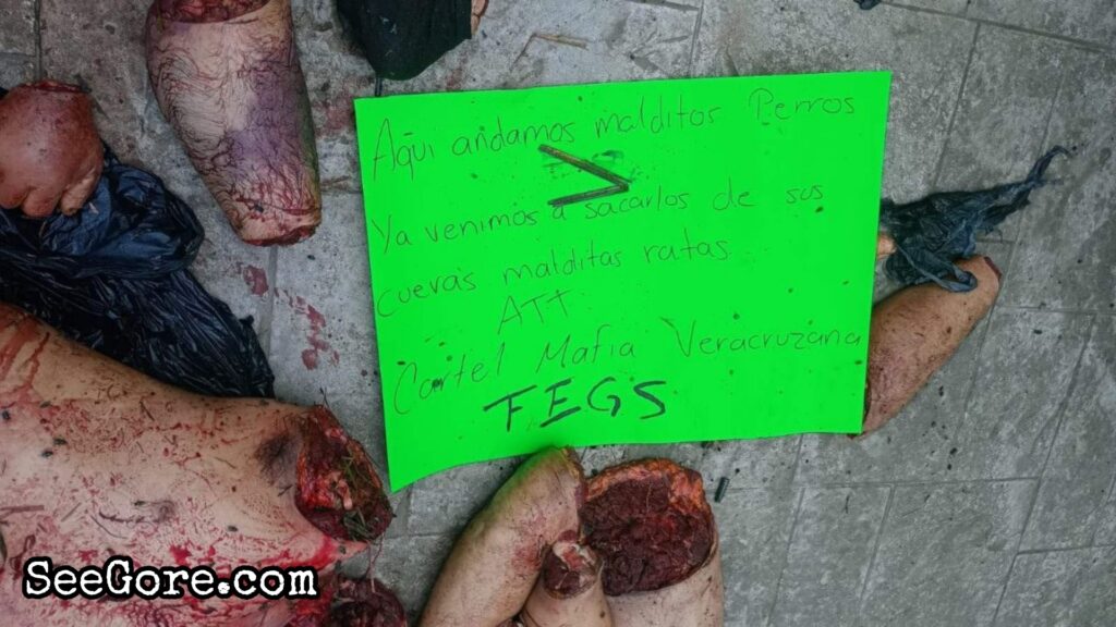 Mexican cartel dumps dismembered body parts at town square 8