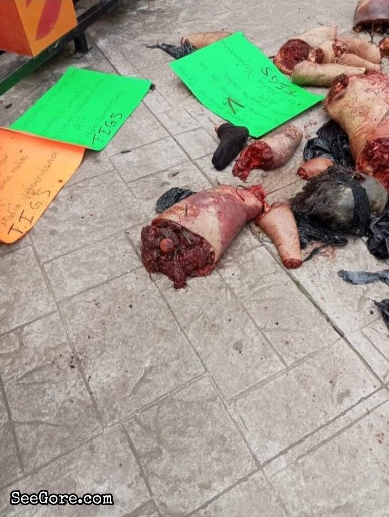 Mexican cartel dumps dismembered body parts at town square 9
