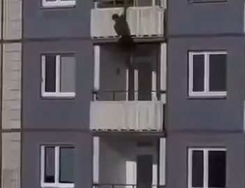 Man climbs down like Spider-Man and falls 13