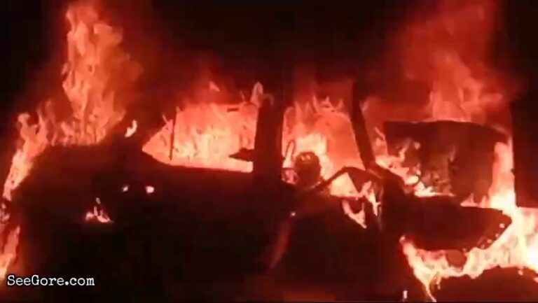 Indian driver burned alive after a crash 11