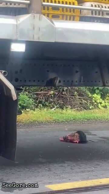 Man decapitated by a truck in Thailand 7