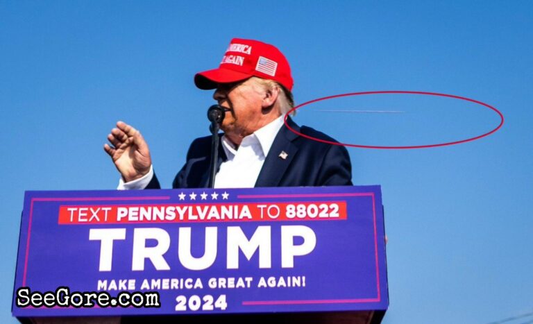 Trump Assasination Attempt 15
