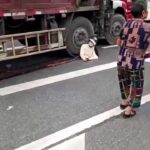 Woman Calmly Making Her Last Phone Call Under Truck Tyre 1