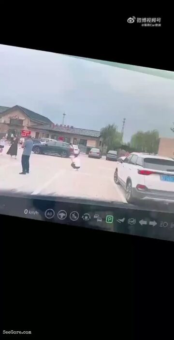 Car Runs Over a Man Squatting 1