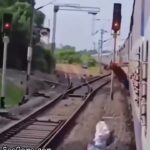 A Man Does Smooth Criminal Lean on a Train 1