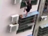 Woman Falls After Failing to Get Back Into the Building 9