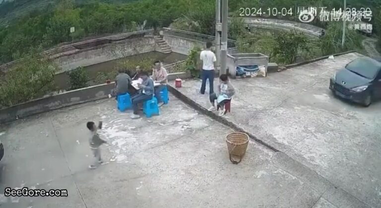 Car Honks Before Ramming Into a Woman and a Child 25