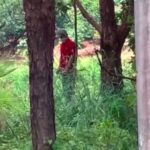 Vietnamese Man Found Hanging on a Tree 1