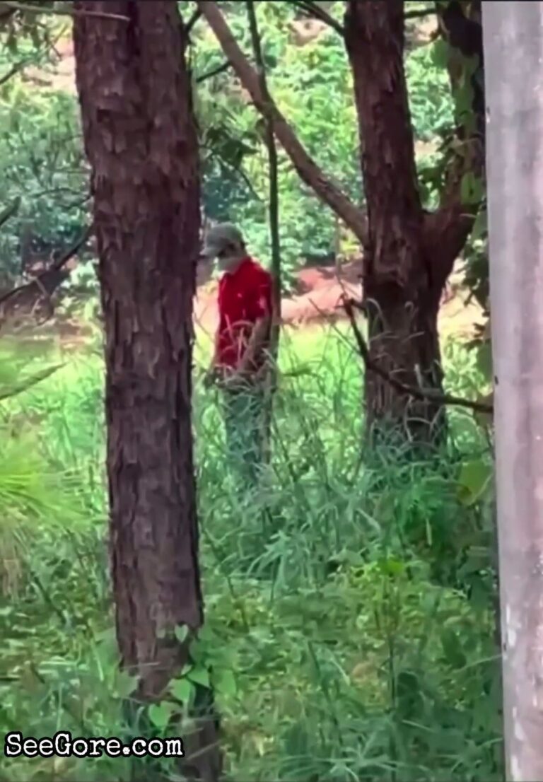 Vietnamese Man Found Hanging on a Tree 14