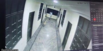 Student Falls to Death While Chasing Dog at Hotel 19