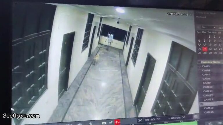 Student Falls to Death While Chasing Dog at Hotel 17