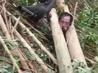 Man Stuck in a Tree 7