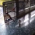 Gate Collapses on a Dad and His Baby 2