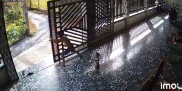 Gate Collapses on a Dad and His Baby 15