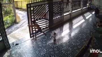 Gate Collapses on a Dad and His Baby 1