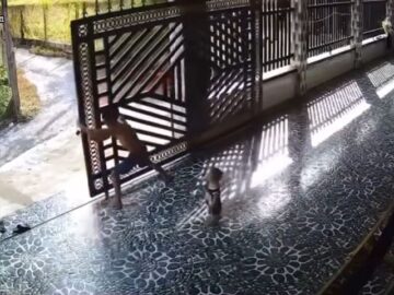 Gate Collapses on a Dad and His Baby 5