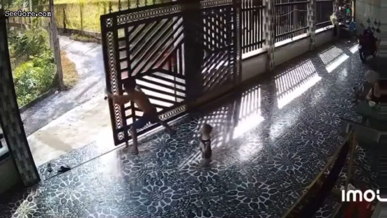 Gate Collapses on a Dad and His Baby 15
