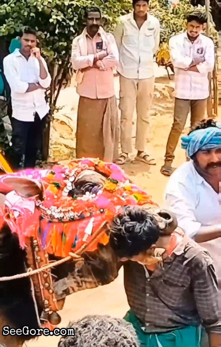 Indian with Their Ritual 16