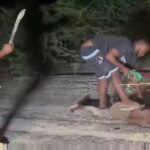 Tiktoker Wanted Over Murder 7