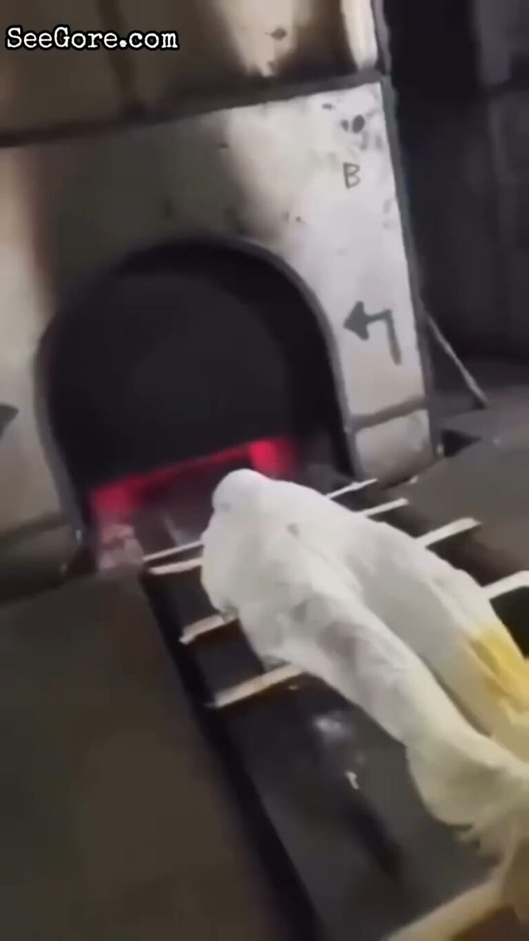 Young Man Jumps into Cremator to Follow His Grandmother 1
